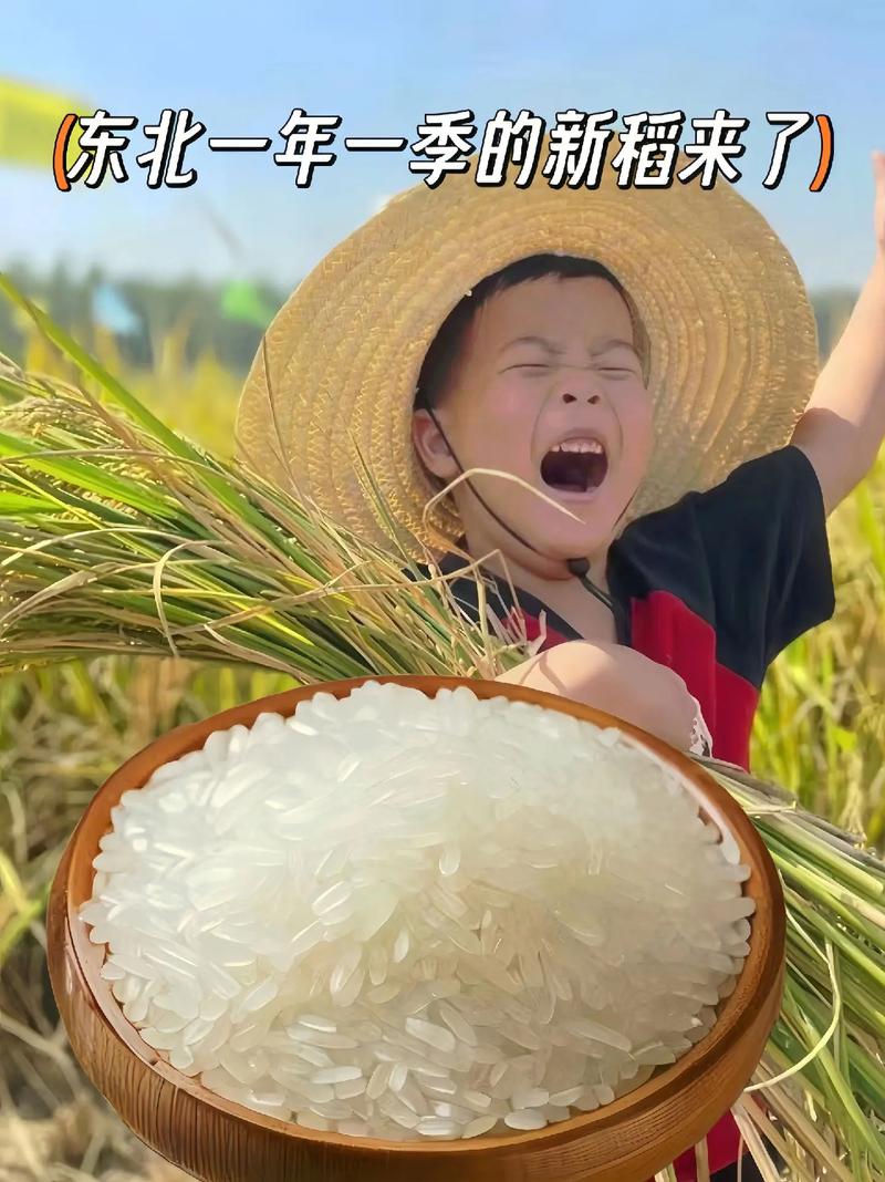 东北大米厂家直发 稳定品质，尽享口福的吃货福利
